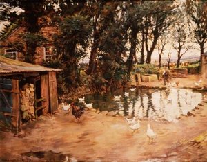 The Duck Pond