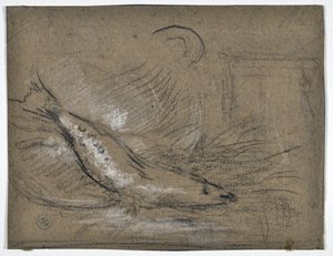 Fish Study by Stanislas Torrents y de Amat