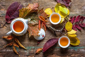 Cozy Autumn Tea by Stanislav Aristov