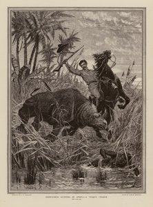 Rhinoceros Hunting in Africa by Stanley (after) Berkeley