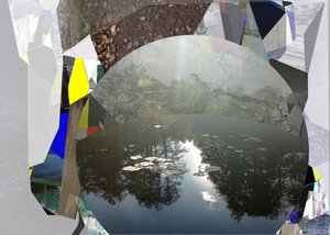 Abstract Pond Reflection