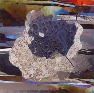 Bubbly Organic Abstract