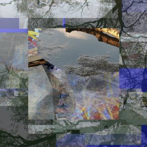 Fragmented Tree Reflection