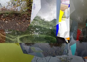 Fragmented Urban Nature