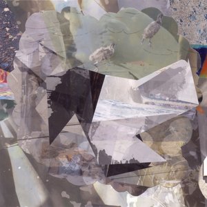 Layered Abstract Birds by Stefan Fransson