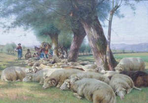 Sheep at Rest