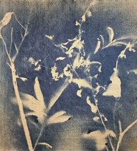 Blue Botanical Silhouette
