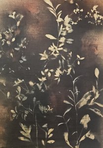 Dark Botanical Silhouettes