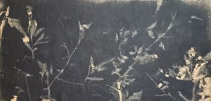 Dark Botanical Study by Stefano Mazzolini