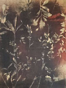 Dark Botanical Study