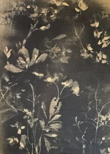 Dark Botanical Study