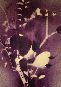Deep Purple Botanicals by Stefano Mazzolini