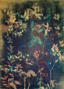 Ethereal Blue Botanicals