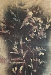 Faded Botanical Forms