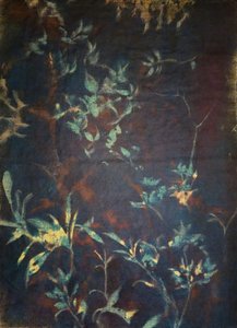 Midnight Garden Flora