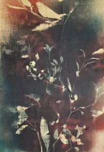 Moody Botanical Branches
