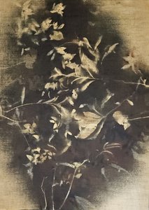 Moody Floral Shadows by Stefano Mazzolini