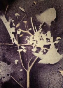Purple Botanical Silhouette