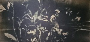 Shadow Garden Bloom