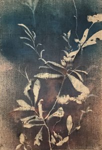 Vintage Blue Botanicals
