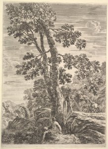 A Fisherman Leaning Against a Large Tree