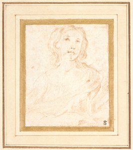 A Young Woman, Half Length by Stefano della Bella