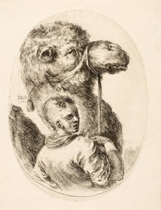 Boy holding a camel by the bridle, from Plusieurs Têtes Coiffées à la Persienne, pub. c. 1650 by Stefano della Bella