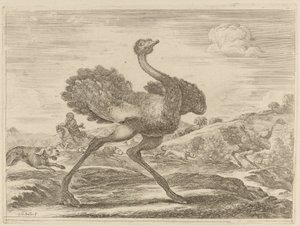 Ostrich Hunt by Stefano della Bella