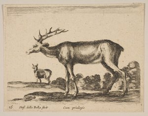Plate 16: stag, from Various Animals, ca. 1641 by Stefano della Bella