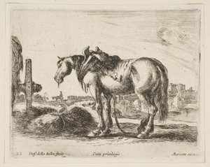 Plate 22: cart horse, from Various animals Diversi animali
