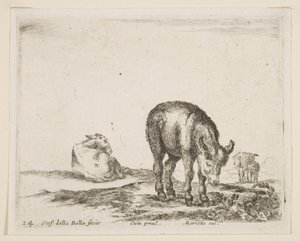 Donkeys, from Various Animals, ca. 1641 by Stefano della Bella