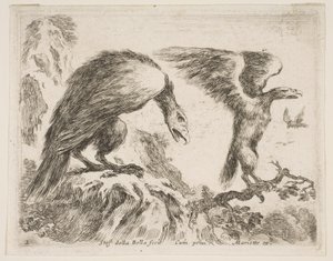 Plate 2: Eagle and Eaglet, from Various Animals