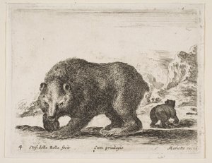 Plate 4: bear, from 