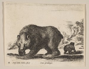 Plate 4: Bear, from 