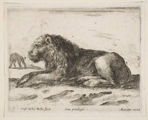 Plate 5: Reclining Lion, from Various Animals