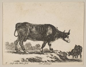 Cow, from Various Animals