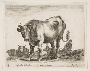 Plate 8: cow, from Various animals Diversi animali