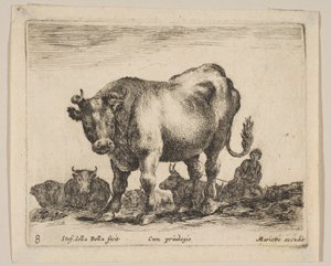 Plate 8: Ox, from 