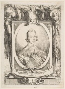 Portrait of Francesco de Medici