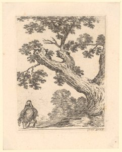 Rider Seen from Behind beneath a Large Tree by Stefano della Bella