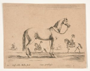 Riderless Horse, with Riders Doing Dressage in Background by Stefano della Bella