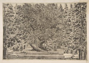 The Tree House at Pratolino by Stefano della Bella
