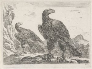 Two Eagles with Heads to the Right