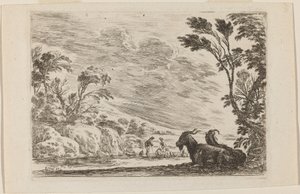 Two Goats Lying Down by Stefano della Bella