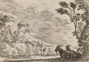 Two Goats Lying Down by Stefano della Bella