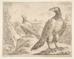 Two eagles, from Eagles Les aigles