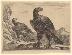 Two Eagles by a Rock Wall, Plate 5 of the Series "Eagles" by Stefano della Bella