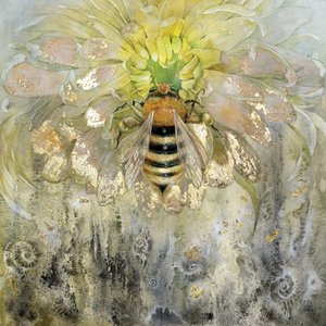 Golden Bee on Bloom by Stephanie Law