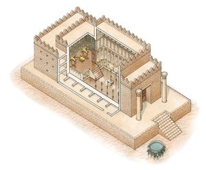 Solomon