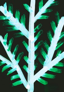 Winter II, 2017 by Stephen Dow